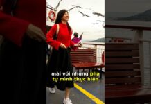 Top 5 Phim Hành Động Bom Tấn Đáng Mong Chờ Nhất 2025