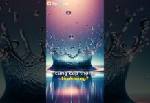 Cảnh Giác! Số Lạ Gọi Đến Im Lặng – Cách Phòng Tránh Lừa Đảo